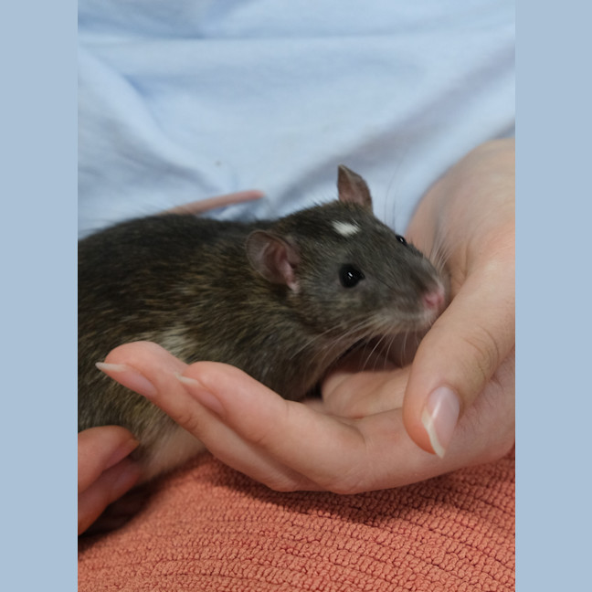 Photo of Neil
