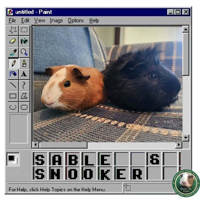 Photo of Sable & Snooker