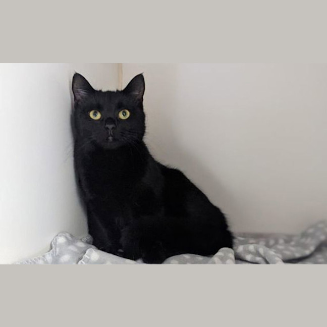 Photo of Raphy
