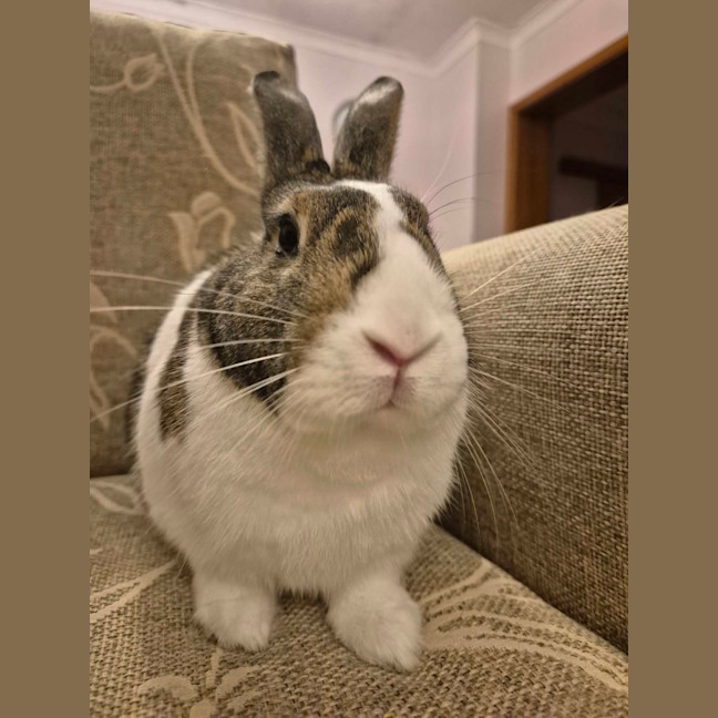 Photo of Elyra