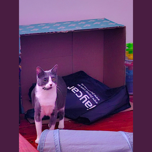 Photo of Athos