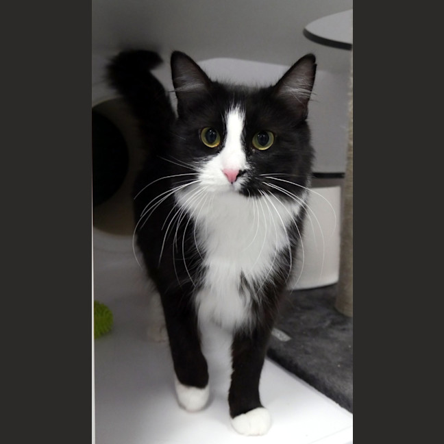 Photo of Waverley Sta013956