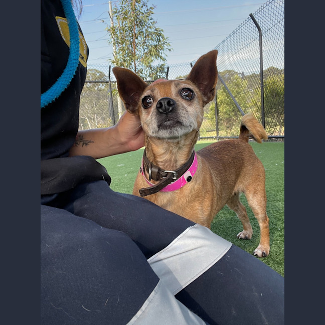 Photo of Molly Imp 1614