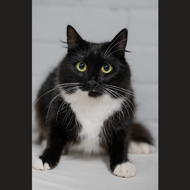Photo of Enid