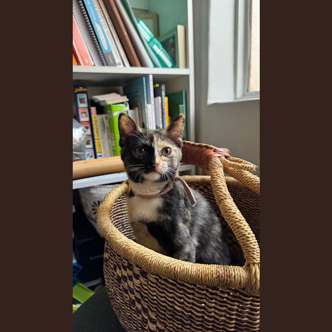 Photo of Winnie