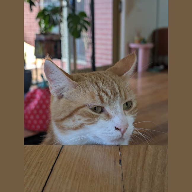 Photo of Charlie 