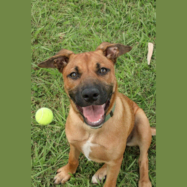 Photo of Lucy