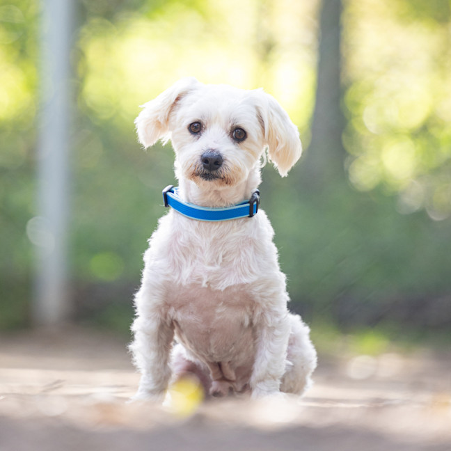 Photo of Benny