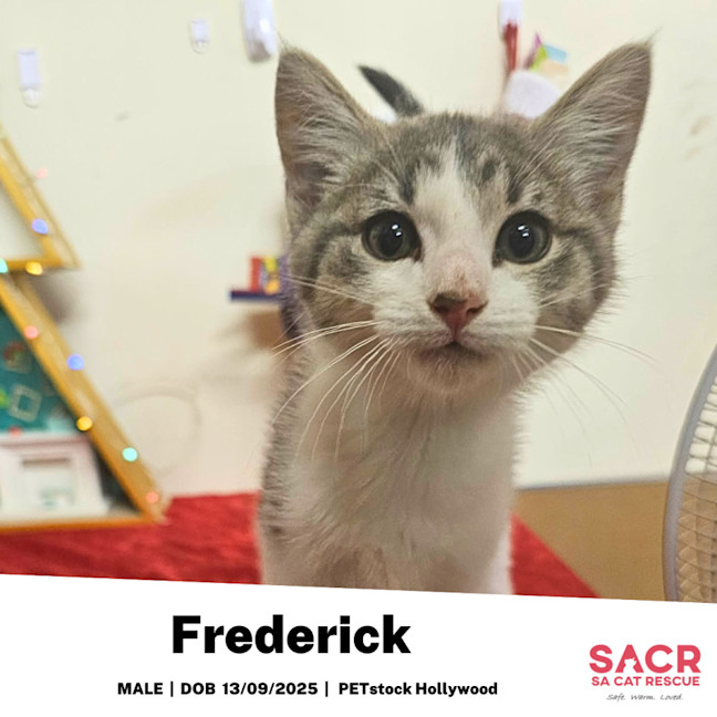 Photo of Frederick