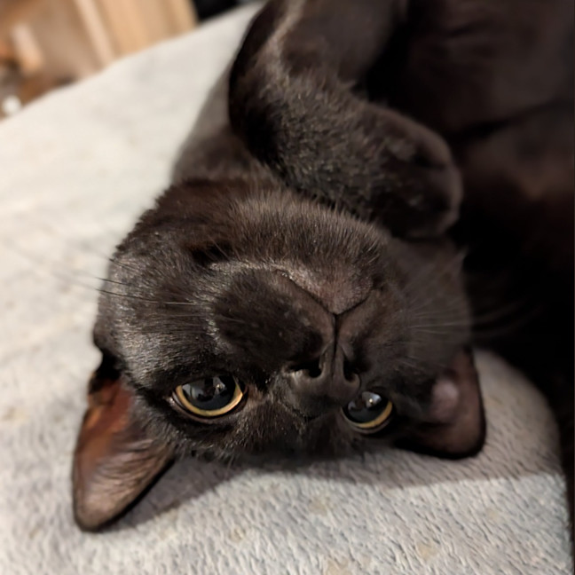 Photo of Veya