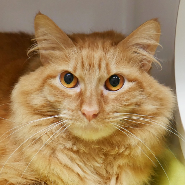 Photo of Manny Rsta013578