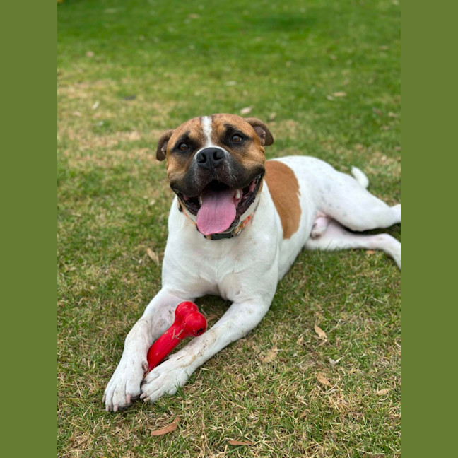 Photo of 🥯 Crumpet 5721 🥯