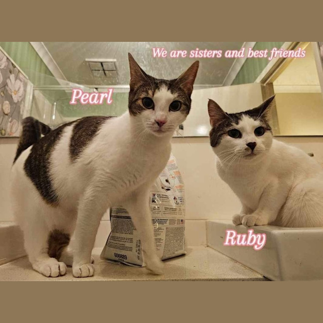 Photo of Pearl & Ruby