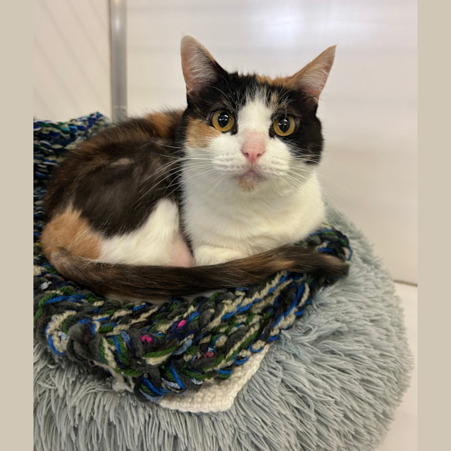 Photo of Peggy