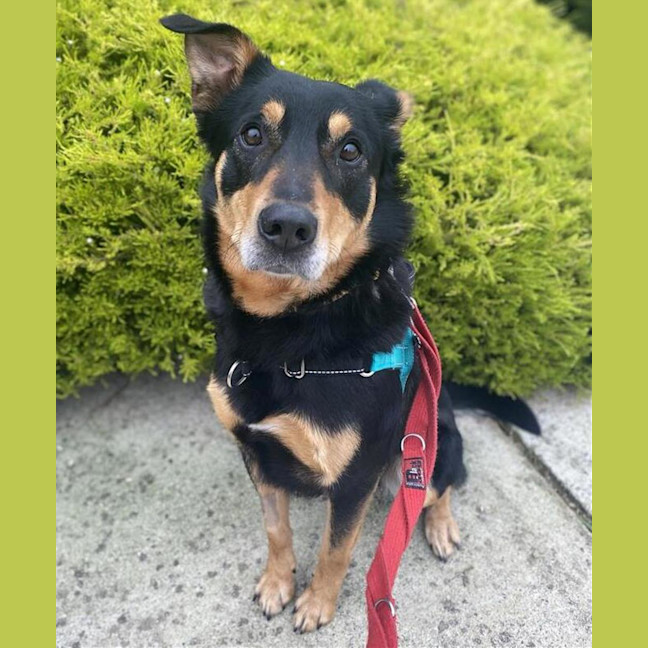 Photo of Sonny