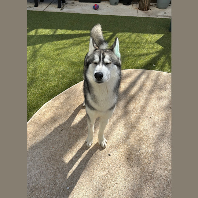 Photo of Jack 