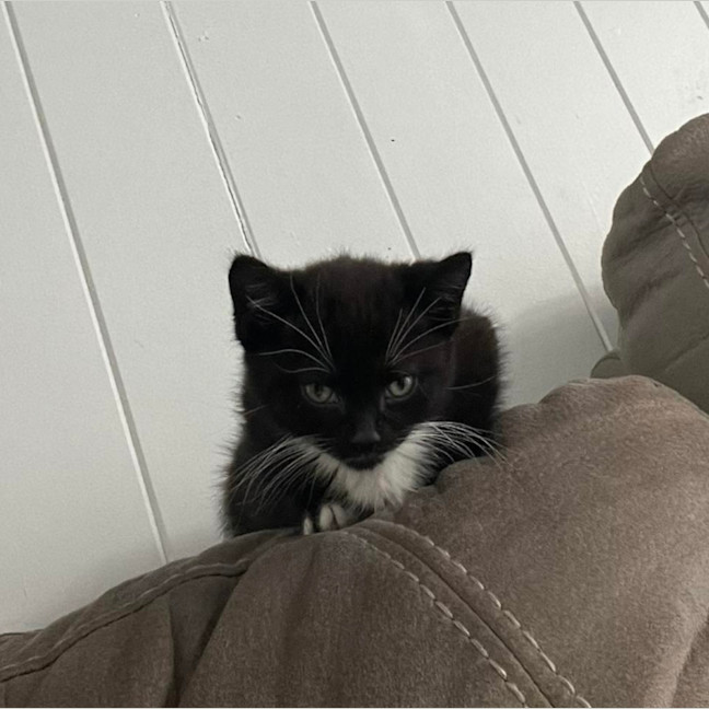 Photo of Brew