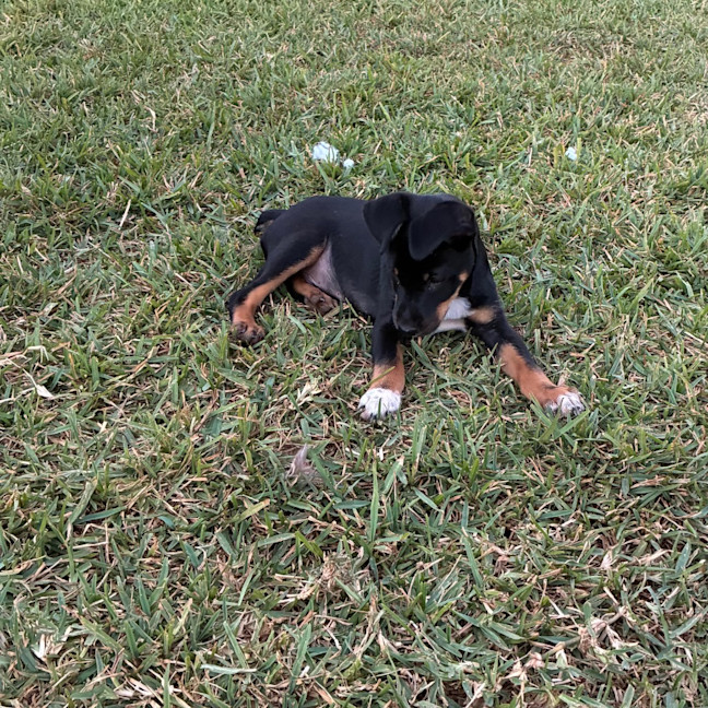 Photo of Parker