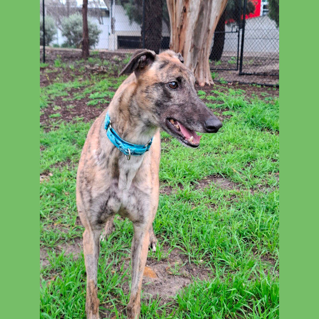 Photo of Cash 