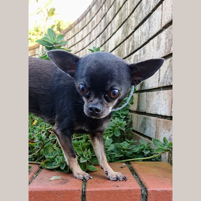 Photo of Zoe