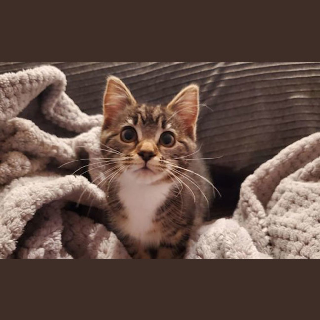 Photo of Luna