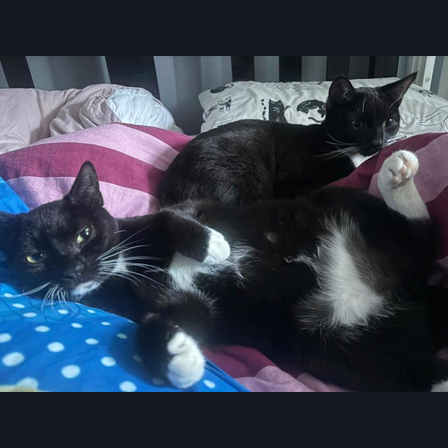 Photo of Allen And Andre