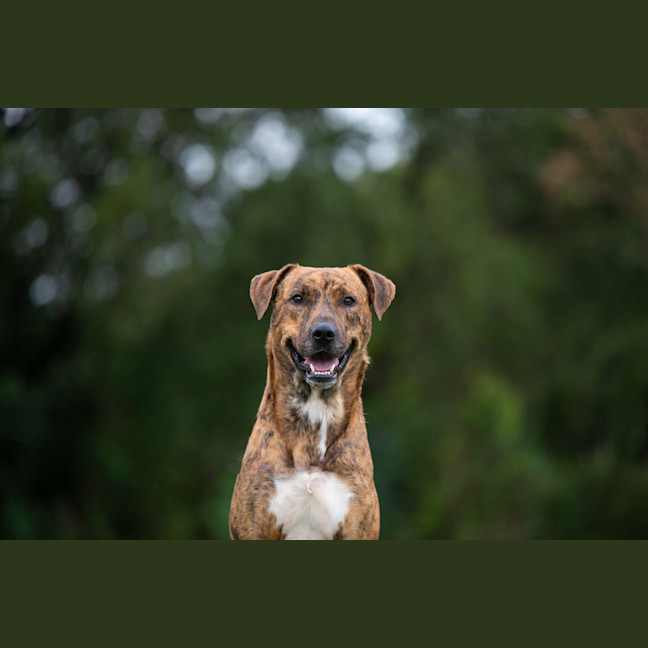 Photo of Remy