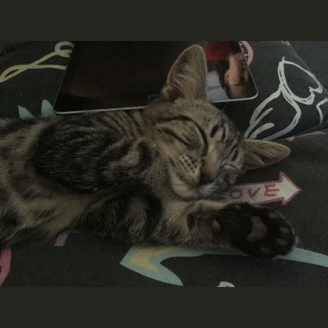 Photo of Jasper