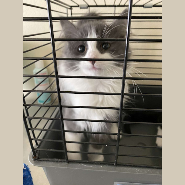 Photo of Storm