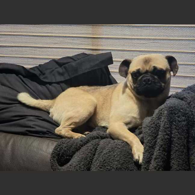 Photo of Maverick