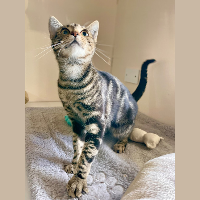 Photo of Wilma   Burnie