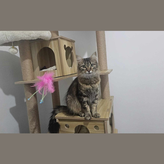 Photo of Nina