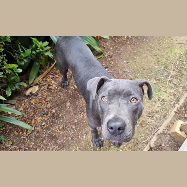 Photo of Zeus