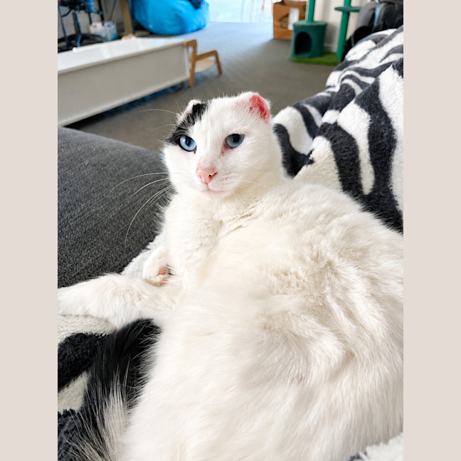 Photo of Jenny