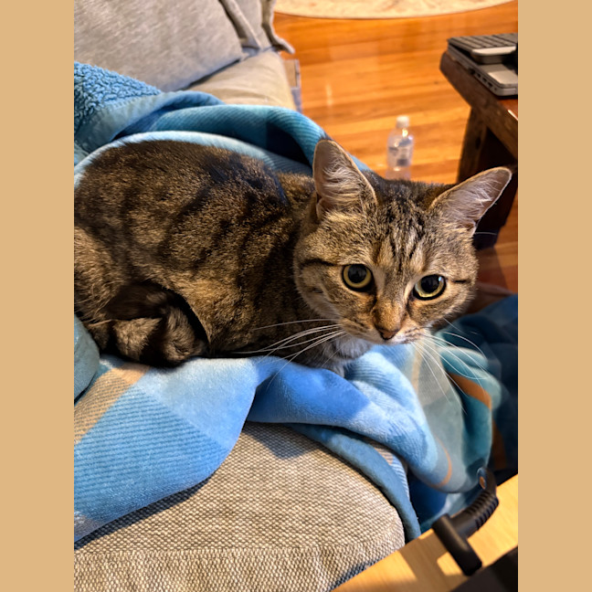 Photo of Charlie