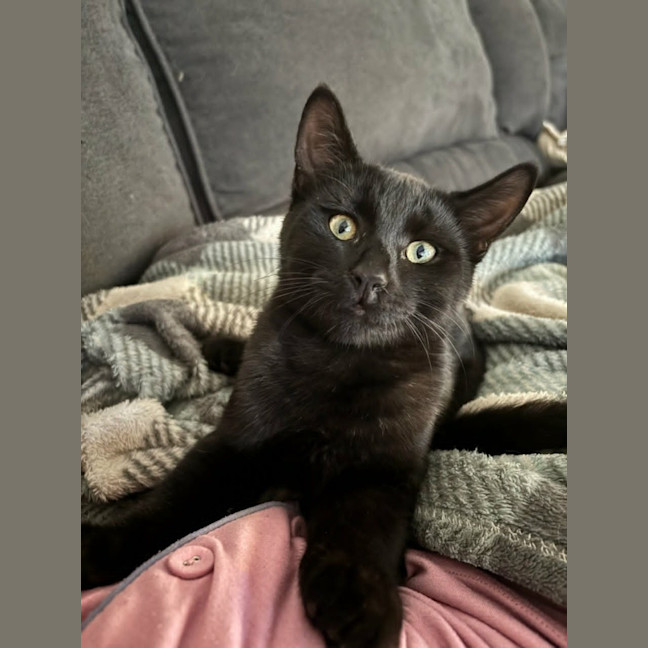 Photo of Fable