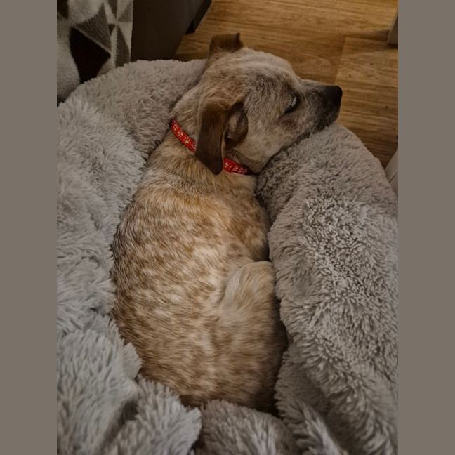 Photo of Helix