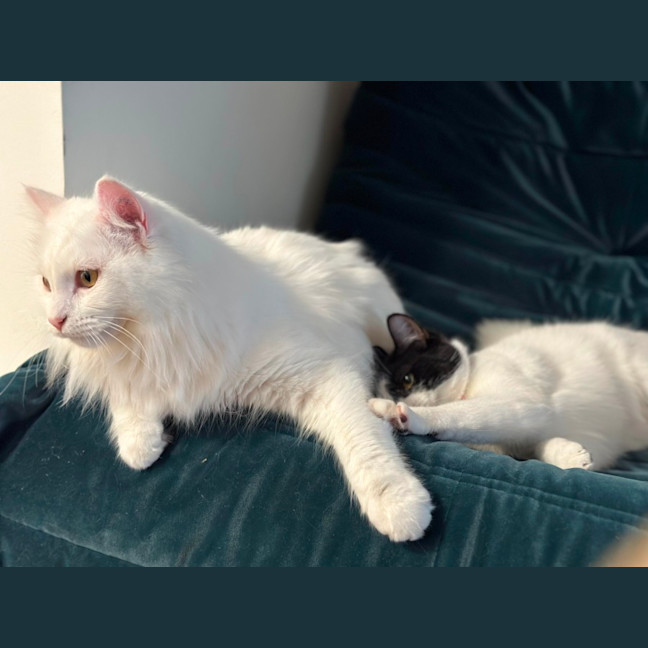 Photo of Will & Grace