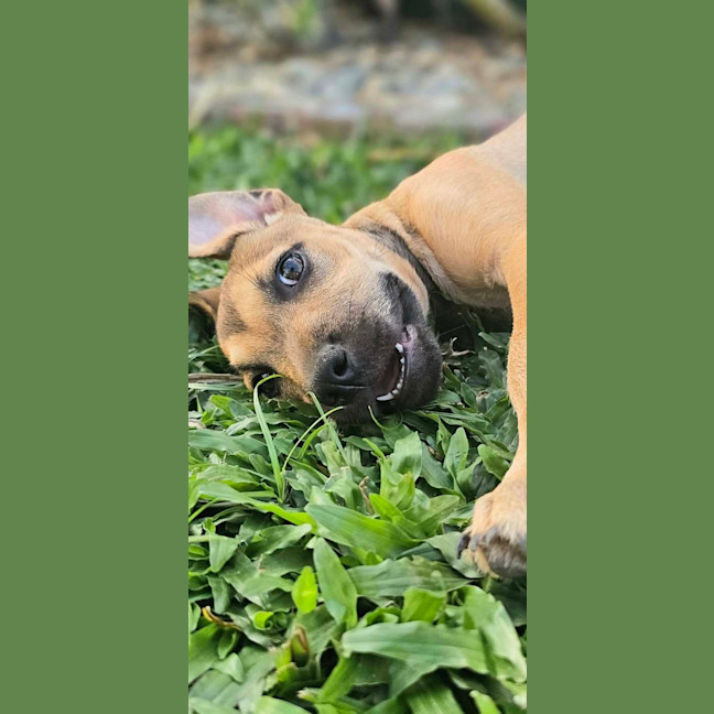 Photo of Laylei