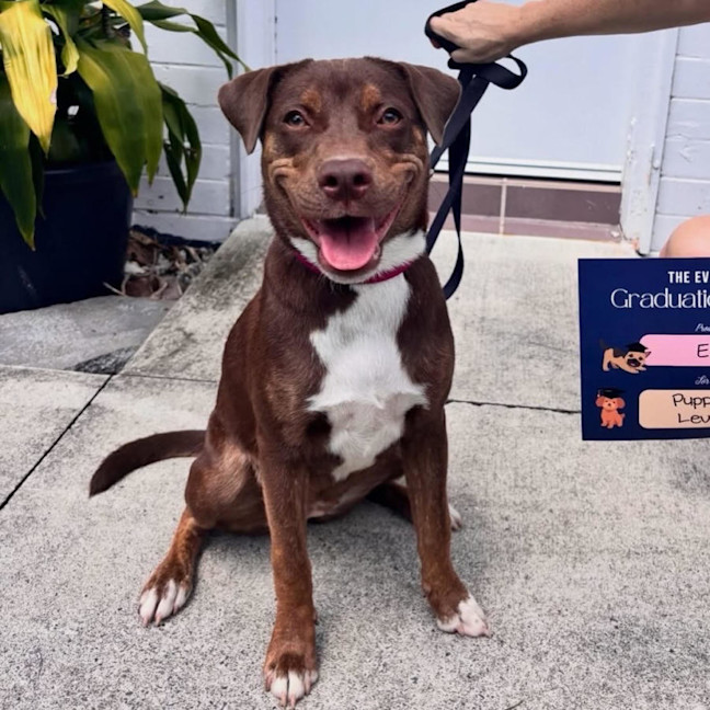 Photo of Bingo Ellie