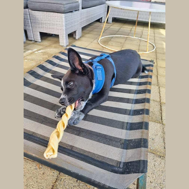 Photo of Bentley