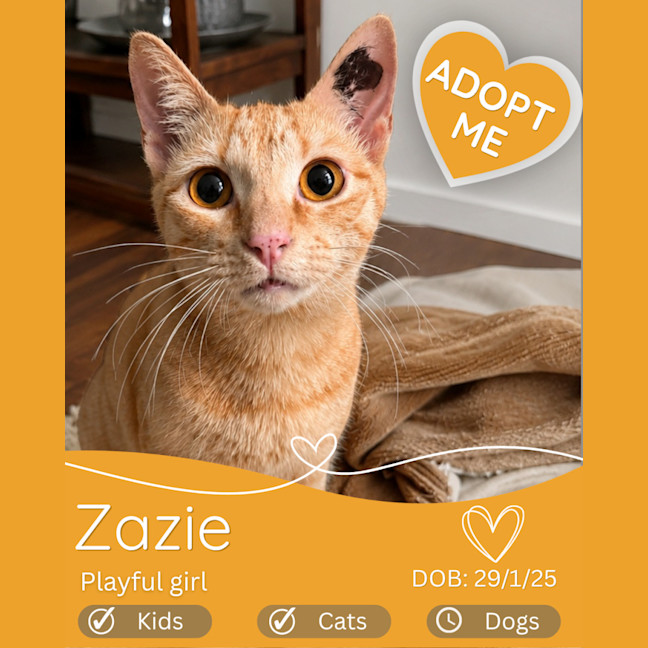 Photo of Zazie