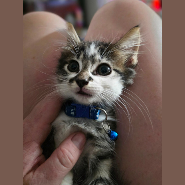 Photo of Murphy