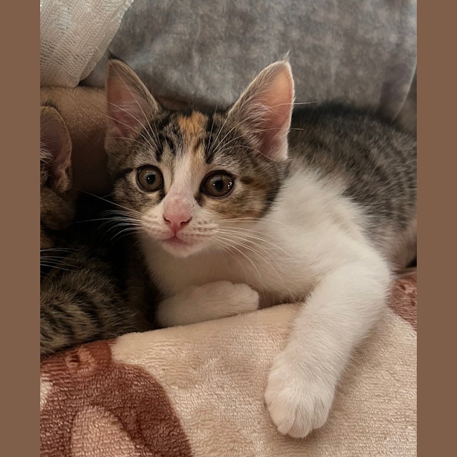 Photo of Kiki   Penelope