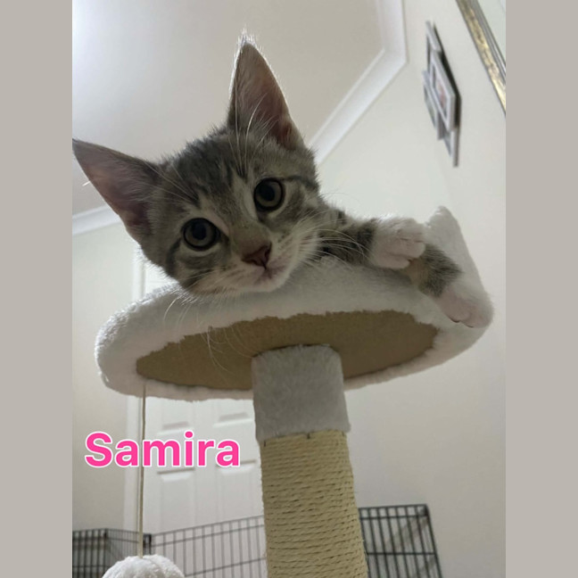 Photo of Samira