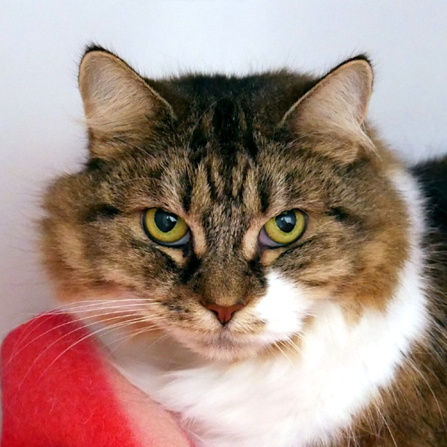 Photo of Tink Rsua010418