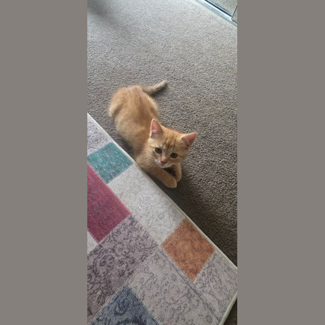 Photo of Leo