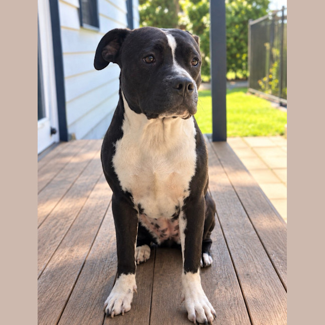 Photo of Lola