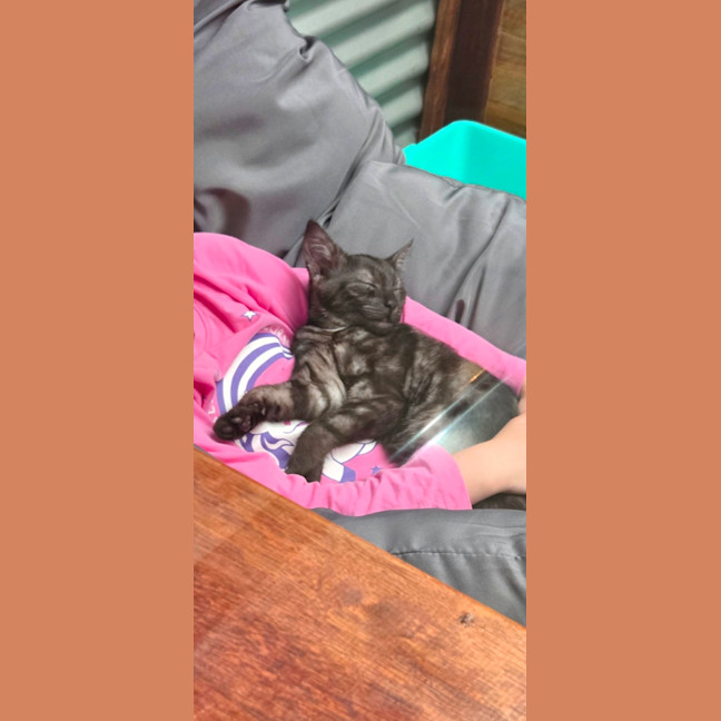 Photo of Wednesday