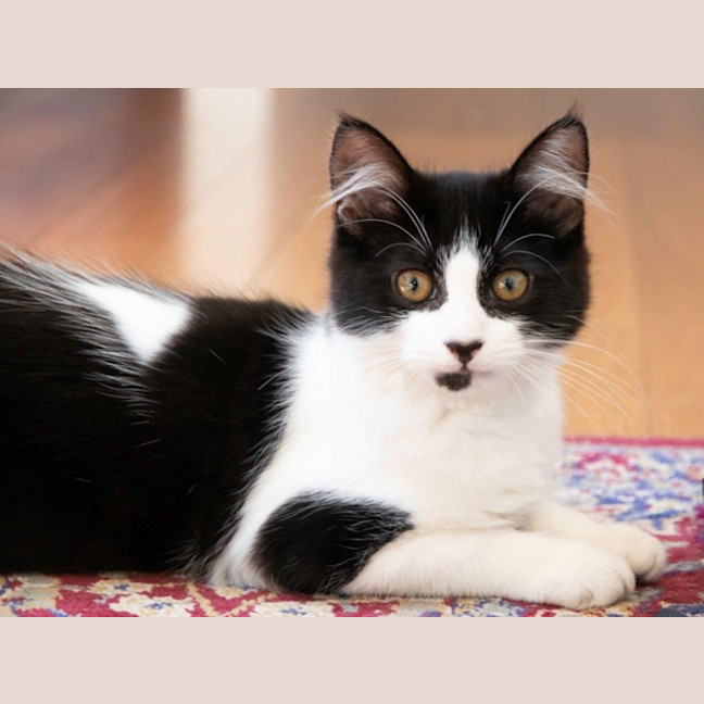 Photo of Gretel Moriarty